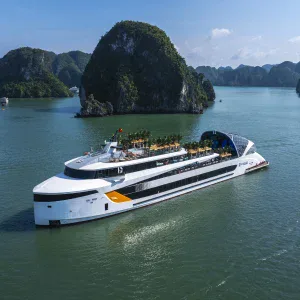 Dolphin Halong Cruise